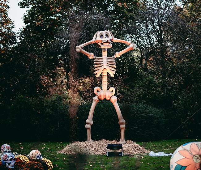 Skeletton in Bellewaerde Park.